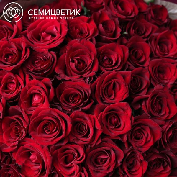 Букет из 51 красной розы Ever Red 60 см (Кения)