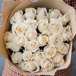 Букет из 25 белых роз (Эквадор) 50-60 см в кремовой пленке