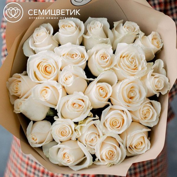 Букет из 25 белых роз Vendela 50 см (Эквадор) в кремовой пленке