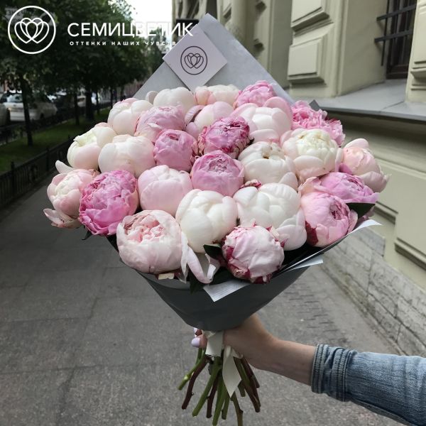 Букет из 25 белых и розовых пионов Premium