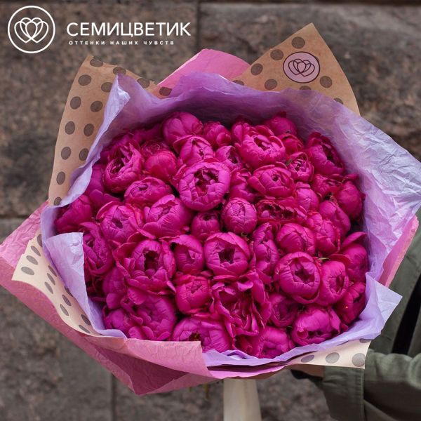 Букет из 51 малинового пиона Standart