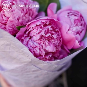 Букет из 3 ярко-розовых пионов Flemming Premium в сиреневой пленке