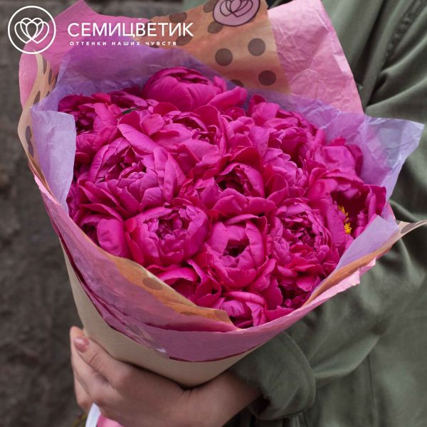 Букет из 19 малиновых пионов Standart