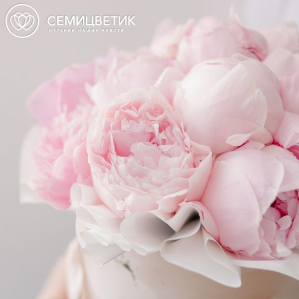 Букет в бежевой шляпной коробке Amour Mini из 15 розовых пионов Premium