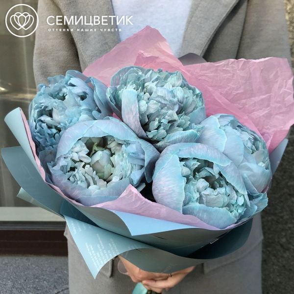 Букет из 5 голубых пионов Premium