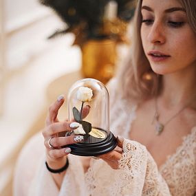 Роза в Колбе Ивори (белая)