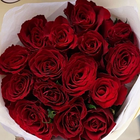 Букет из 15 красных роз 30 см (Кения) в кремовой пленке