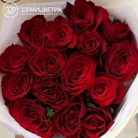 Букет из 15 красных роз 30 см (Кения) в кремовой пленке