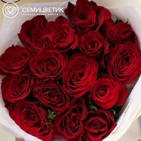 Букет из 15 красных роз 30 см (Кения) в кремовой пленке