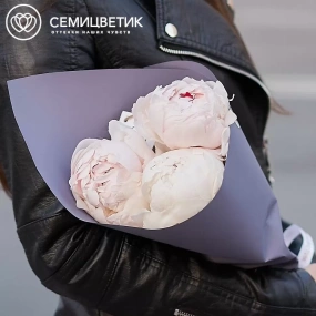Букет из 3 нежно-розовых пионов Gardenia Premium в сиреневой пленке