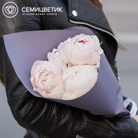 Букет из 3 нежно-розовых пионов Gardenia Premium в сиреневой пленке
