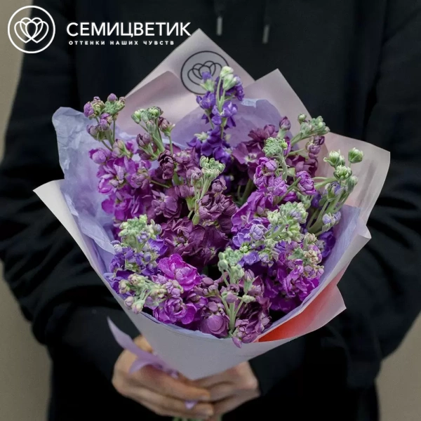 Букет из 15 махровых маттиол микс в сиреневой пленке