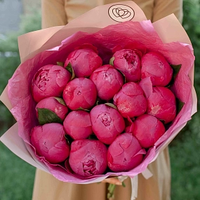 Букет из 15 ярко-розовых пионов Command Performance Premium в розовой пленке