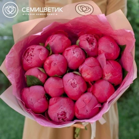 Букет из 15 ярко-розовых пионов Command Performance Premium в розовой пленке