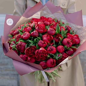 Букет из 51 бордового пиона Standart в розовой пленке
