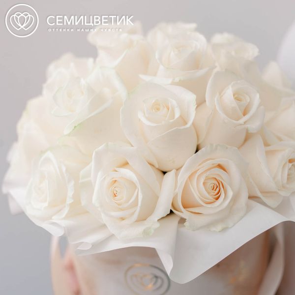 Букет в бежевой шляпной коробке Amour Mini из 25 белых роз Vendela (Эквадор)