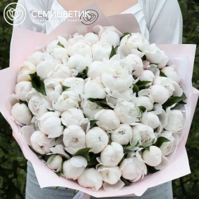 Букет из 51 нежно-розового пиона Standart в сиреневой пленке