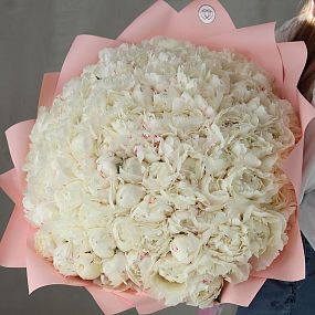 Букет из 51 бело-кремового пиона Bowl of cream Premium