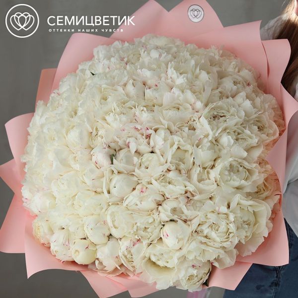 Букет из 51 бело-кремового пиона Bowl of cream Premium