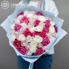 Букет из 51 белой, малиновой и нежно-розовой розы 70 см (Россия) в голубой пленке