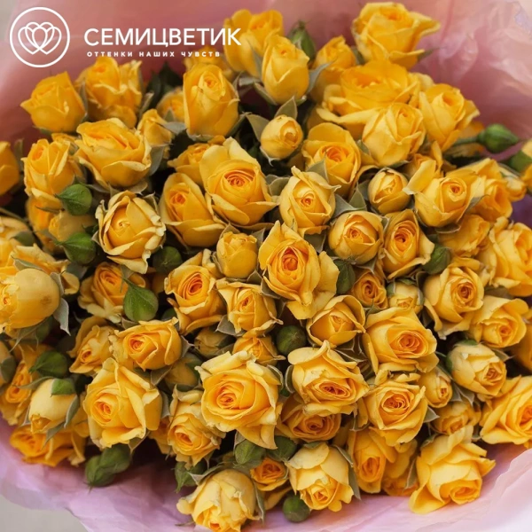Букет из 19 желтых кустовых роз 40 см (Кения) в розовой пленке