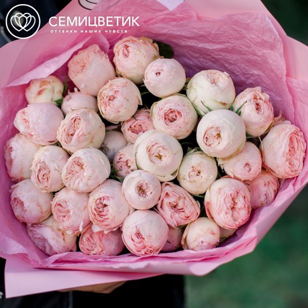 Букет из 9 нежно-розовых кустовых пионовидных роз Mansfield Park 50 см (Эквадор)