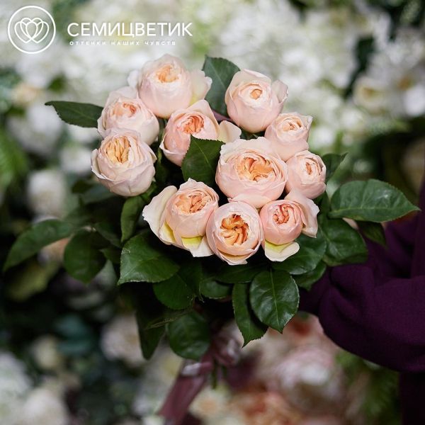 Букет из 11 персиковых пионовидных роз Juliet 50 см (Эквадор)