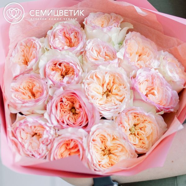 Букет из 15 персиковых пионовидных роз Flash Back 40 см в розовой пленке