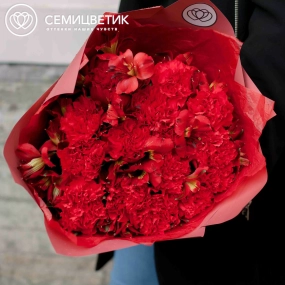 Букет из 15 красных гвоздик и 10 красных альстромерий в бордовой пленке