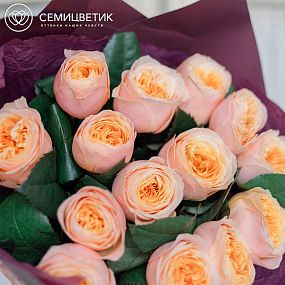 Букет из 15 розовых пионовидных роз Vuvuzela 40 см