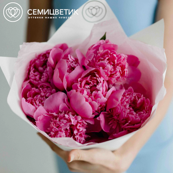 Букет из 7 ярко-розовых пионов Standart Plus в белой пленке