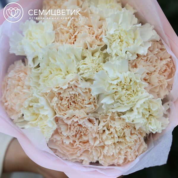 Букет из 15 белых и кремовых гвоздик