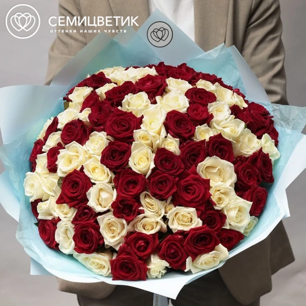 Букет из 101 красной и белой розы 35-40 см (Россия) в голубой пленке