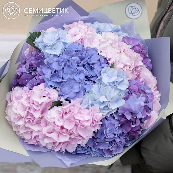 Букет из 15 гортензий микс