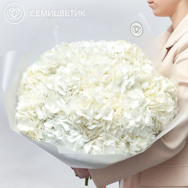 Букет из 15 белых гортензий