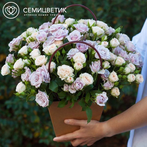Композиция из 25 сиреневых и кремовых кустовых роз в сумочке