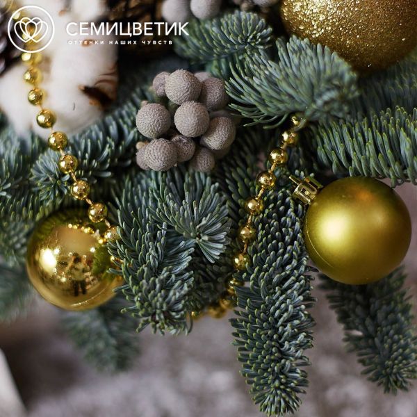 Композиция с елью, брунией и свечой в кашпо