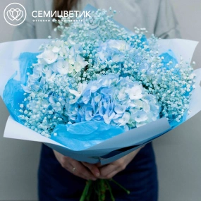 Букет из 3 голубых гортензий с голубой гипсофилой в голубой пленке