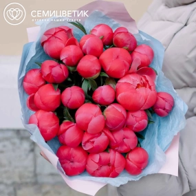 Букет из 25 коралловых пионов Coral Sunset Premium в розовой пленке