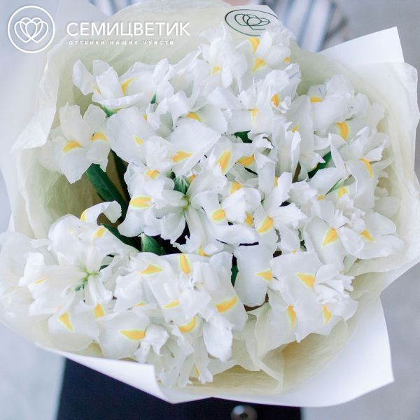 Букет из 25 белых ирисов