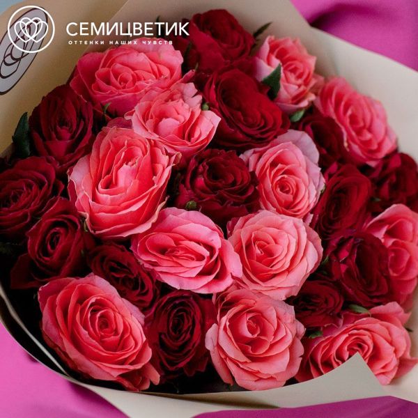 Букет из 25 красных и коралловых роз 40 см (Кения) в кремовой пленке