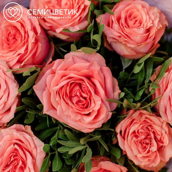 Букет из 9 кораллово-розовых пионовидных роз Wild Love 40 см с фисташкой