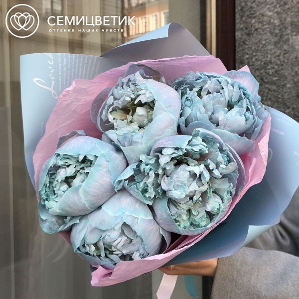Букет из 5 голубых пионов Premium
