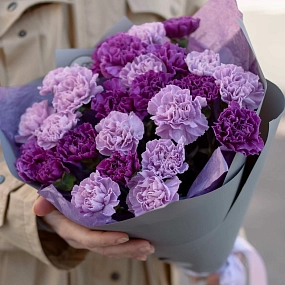 Монобукет  из 25 сиреневых (лунных) и фиолетовых гвоздик в голубой пленке
