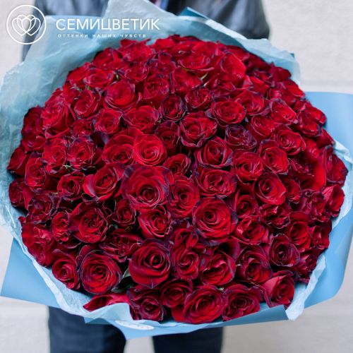 Букет из 101 красной с темной каймой розы (Россия) 40 см