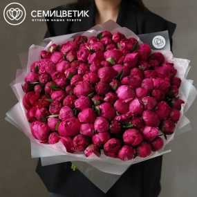 Букет из 101 ярко-розового пиона Red Sarah Bernhardt Premium в прозрачной упаковке