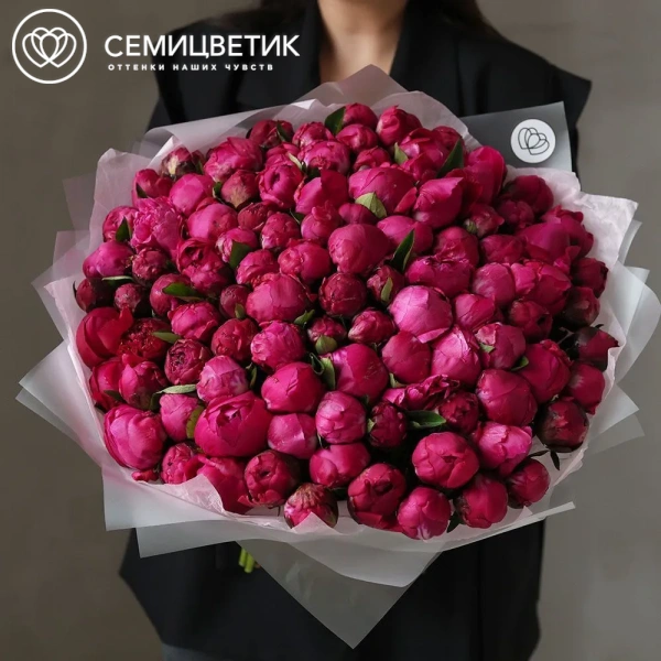 Букет из 101 ярко-розового пиона Red Sarah Bernhardt Premium в прозрачной упаковке