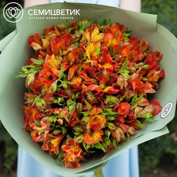 Букет из 25 оранжевых альстромерий