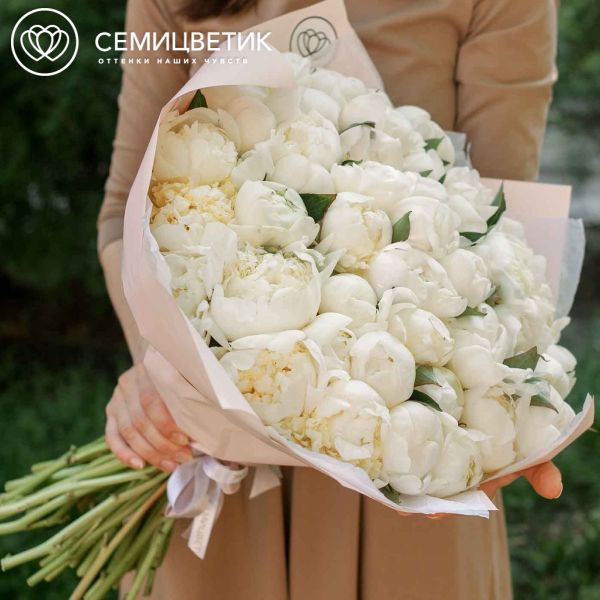 Букет из 51 белого пиона Premium