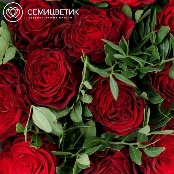 Букет из 11 красных пионовидных роз Hearts 40 см с фисташкой